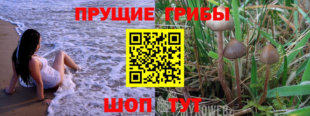 Псилоцибиновые грибы MAGIC MUSHROOMS  Вход с VPN  Элиста 