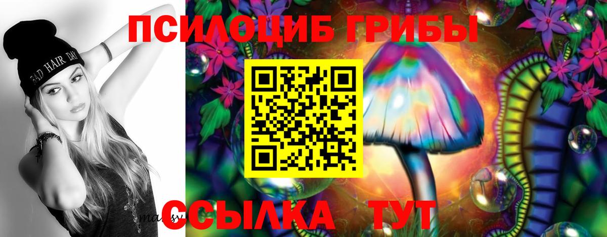 Галлюциногенные грибы MAGIC MUSHROOMS Элиста